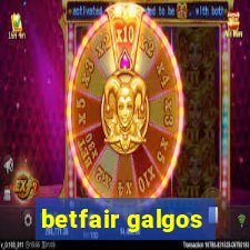 betfair galgos